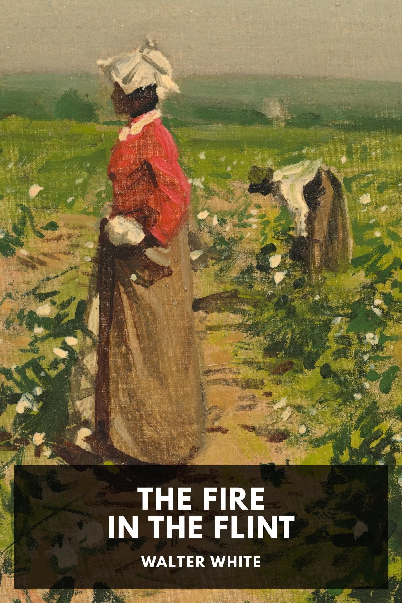 Cover of The Fire in the Flint